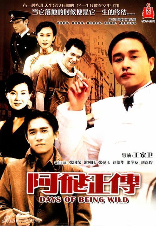 打不动产证明在哪里打
